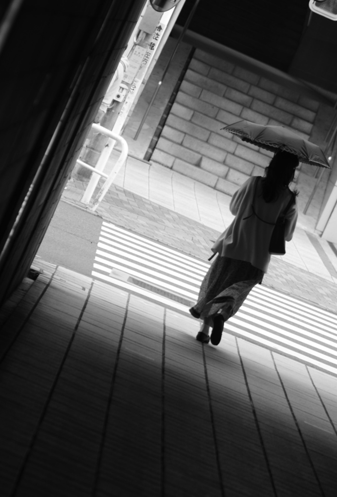美しい夏