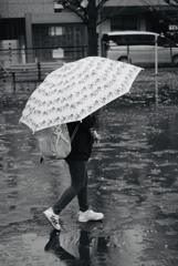 雨桜