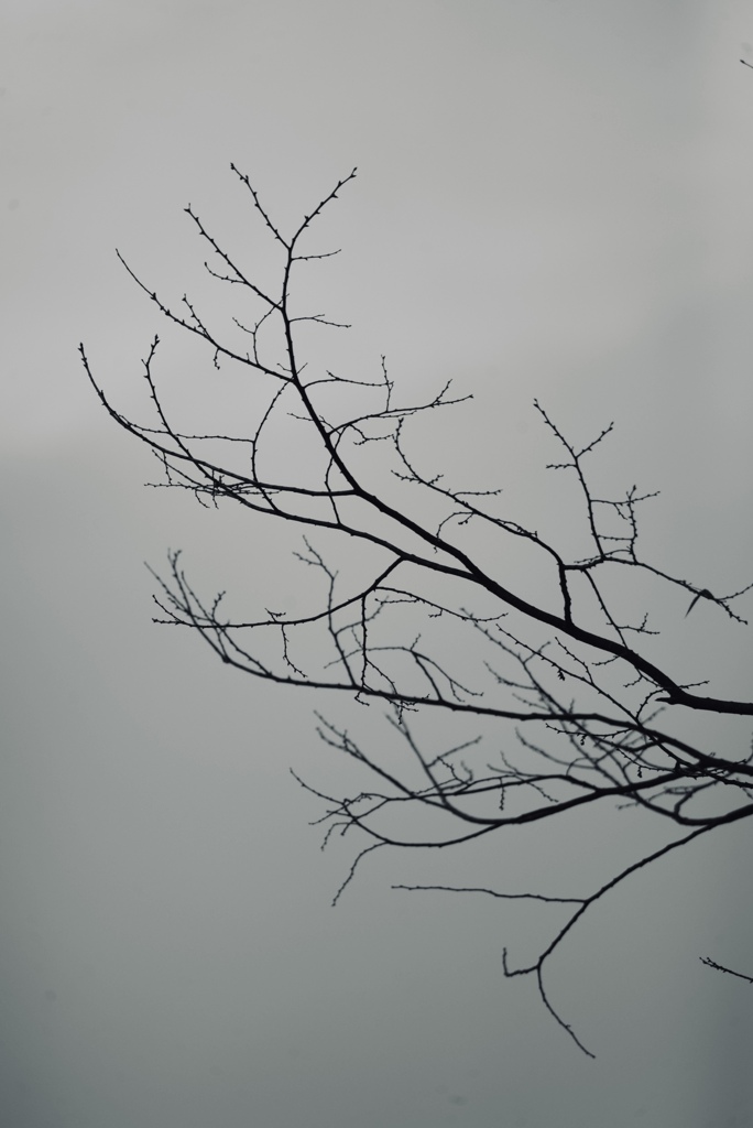 悲しみも人生の旅の一部