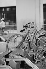 自転車たち
