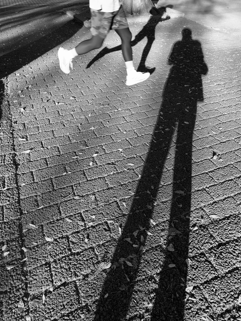 定番あしながカメラマン