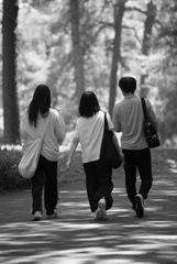 Friends