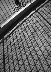 未来を決めるのは、今のこの光の瞬間