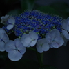 暮れる青