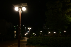 夜の案内人