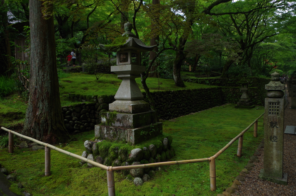 うん、なんか良い。