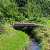 ぼくの夏休み