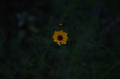 太陽系