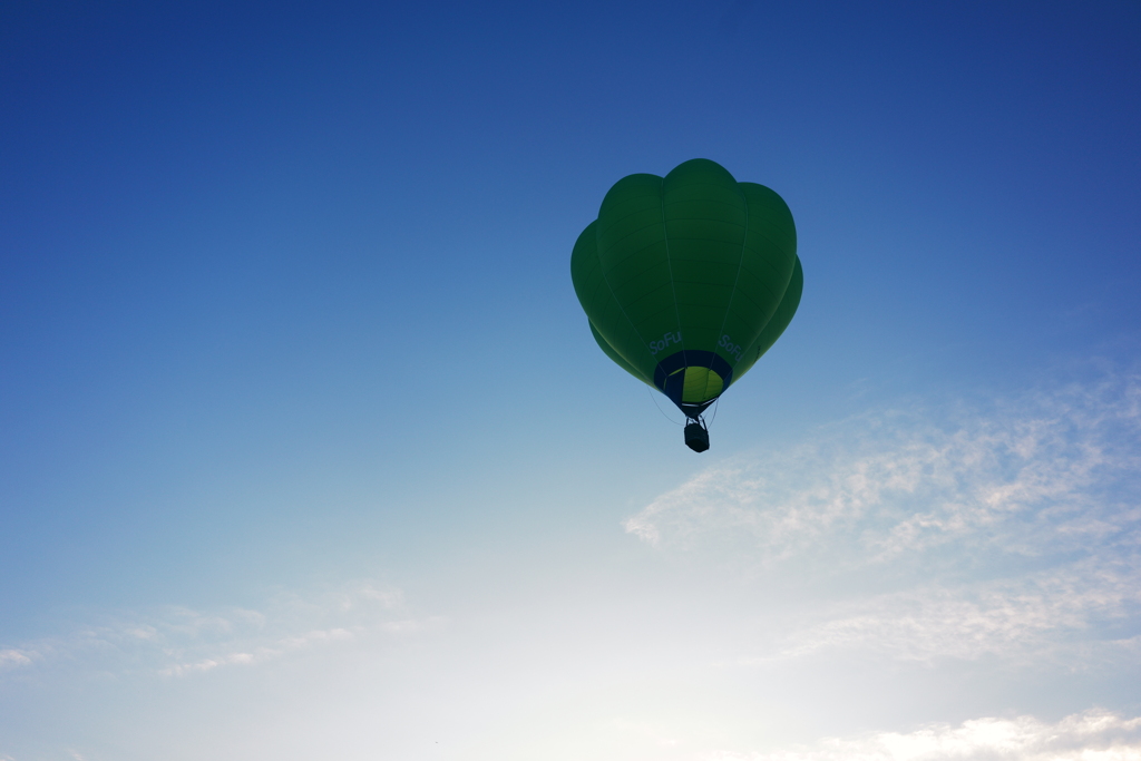 FLY TO THE TOP!