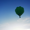 FLY TO THE TOP!