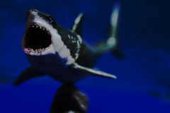 Deep Sea Deep Blue