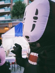 THE NO FACE