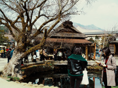 忍野八海
