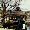 忍野八海