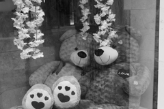 LEICAモノクローム⑤