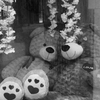 LEICAモノクローム⑤