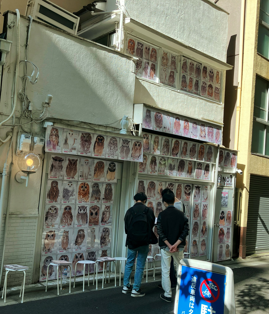 どの娘にしようかな