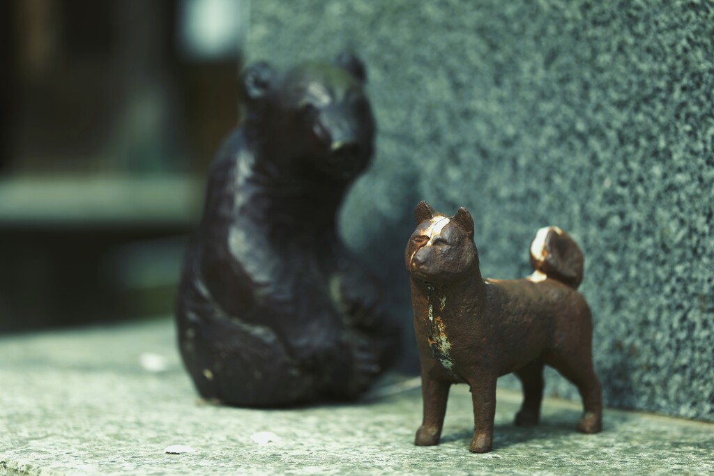 忠犬サビ公