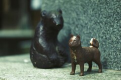 忠犬サビ公