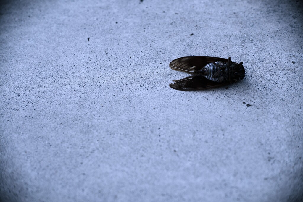 The End of Heartache