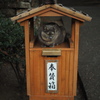 猫ポートレート②