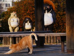 猫ポートレート⑥