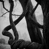 Twisted