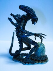 Xenomorph②
