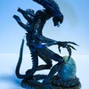 Xenomorph②
