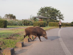 すみません ちょっと通りますね。