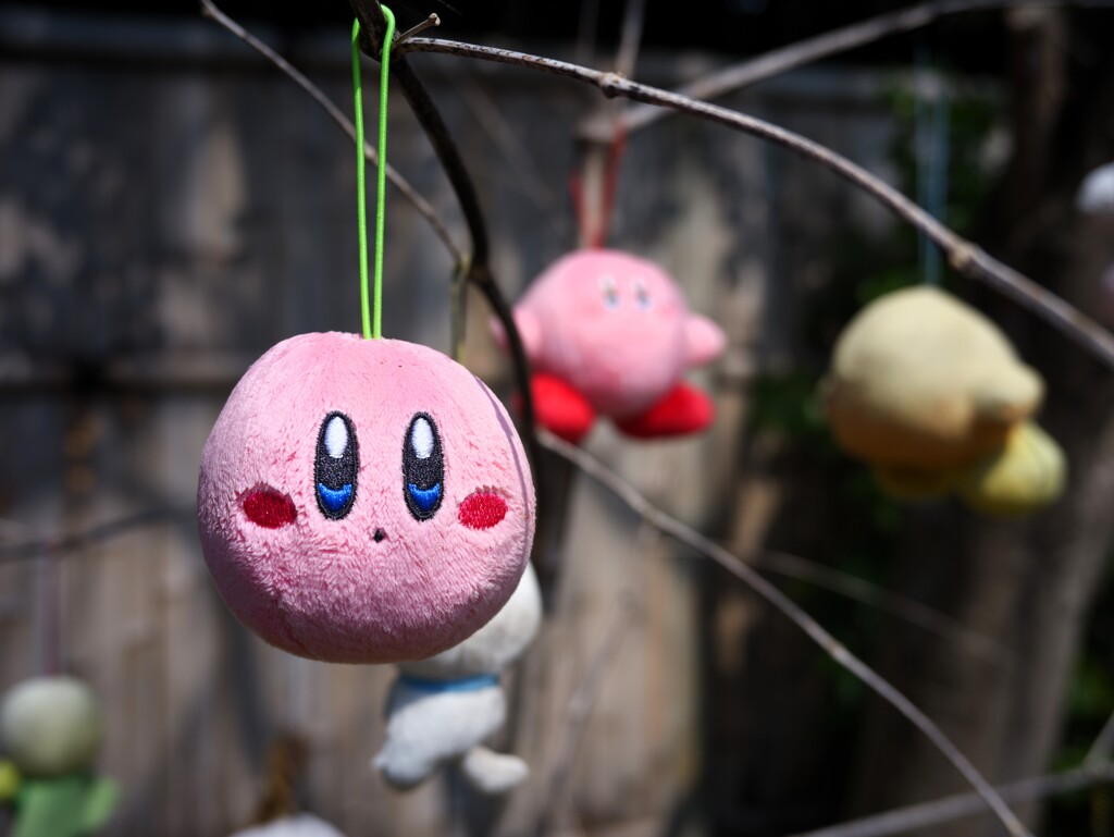 カービィ