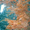 zoom zoom zuiko②