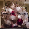 show Window