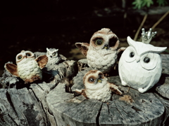 森のフクロウたち