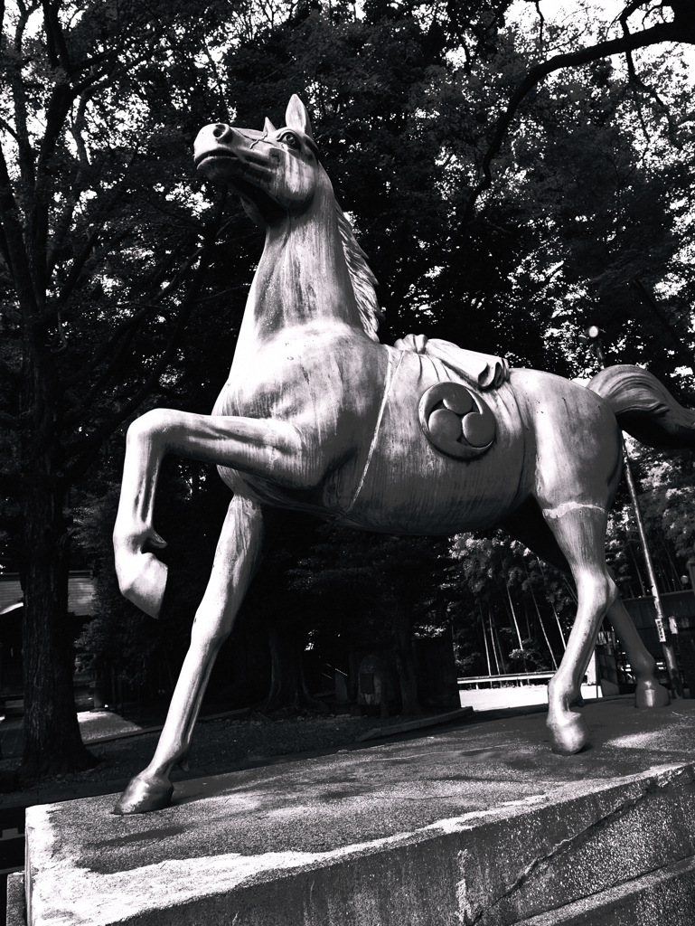 dancing horse on my phone
