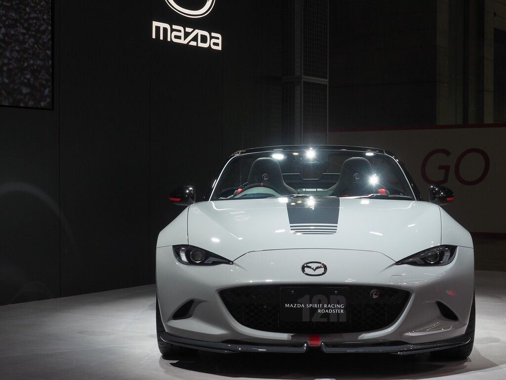 MSR ROADSTER 12R  