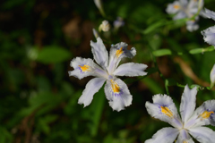 DSC_0805_20240428