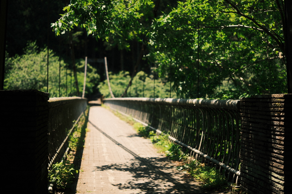橋