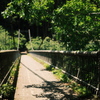 橋