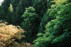 春から夏へ