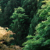 春から夏へ