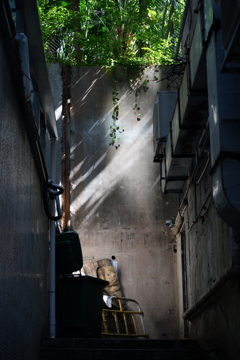 路地裏