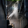 路地裏