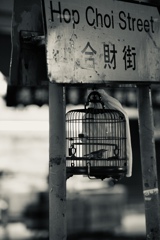 籠中の鳥