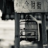 籠中の鳥
