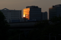 黄金の建物