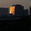 黄金の建物