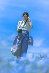 ネモフィラ