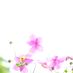 try to remember*
