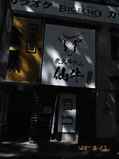 木洩れ日